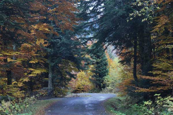 balades en pleine nature sur sentiers pedestres